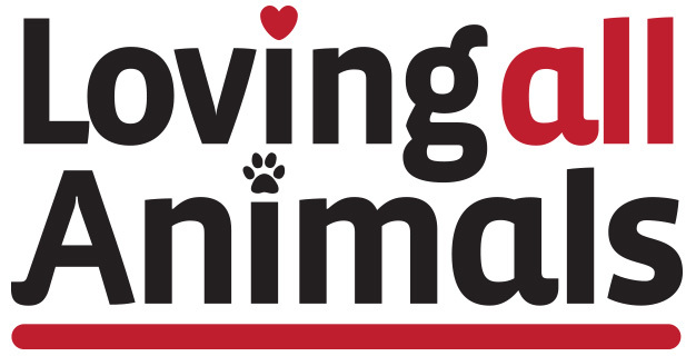 Loving All Animals